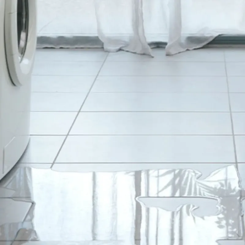 Appliance Leak Cleanup in Ojus, FL